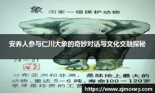 安养人参与仁川大象的奇妙对话与文化交融探秘
